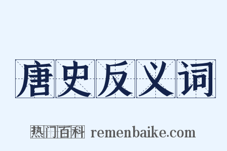 唐史反义词是什么意思的图片